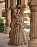 Timeless Beige Chinnon & Georgette Indo-Western Ensemble with Exquisite Embroidery